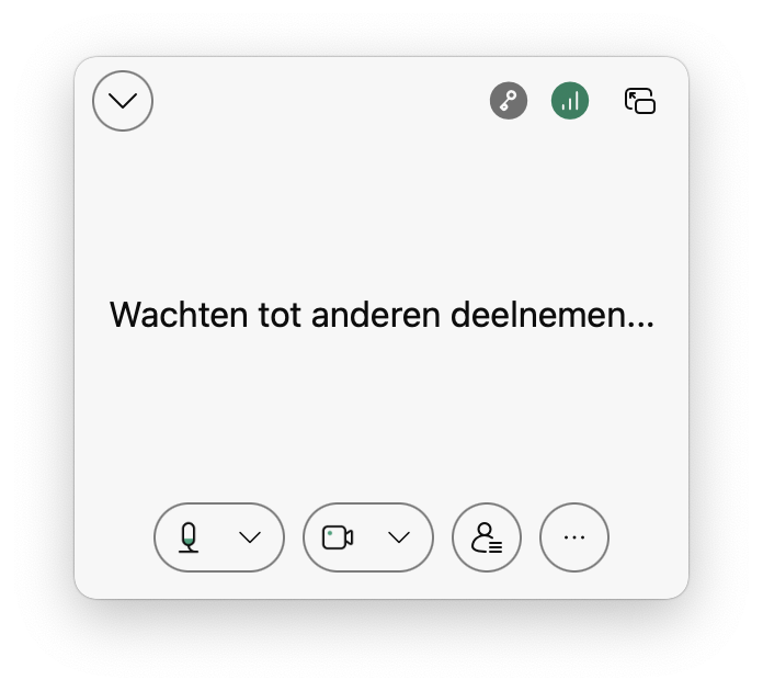 Screenshot van videoweergave tijdens delen scherm of toepassing tijdens videovergadering in Webex