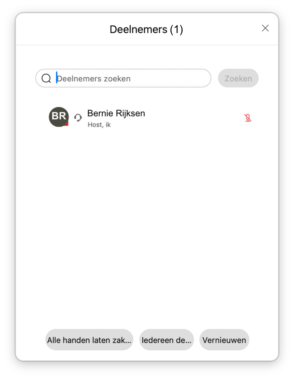 Screenshot van deelnemersvenster tijdens Webex Webinar