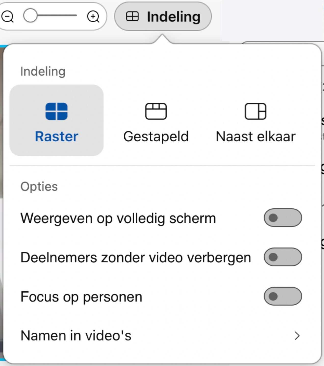 Screenshot indeling-opties Webex Webinars voor deelnemers