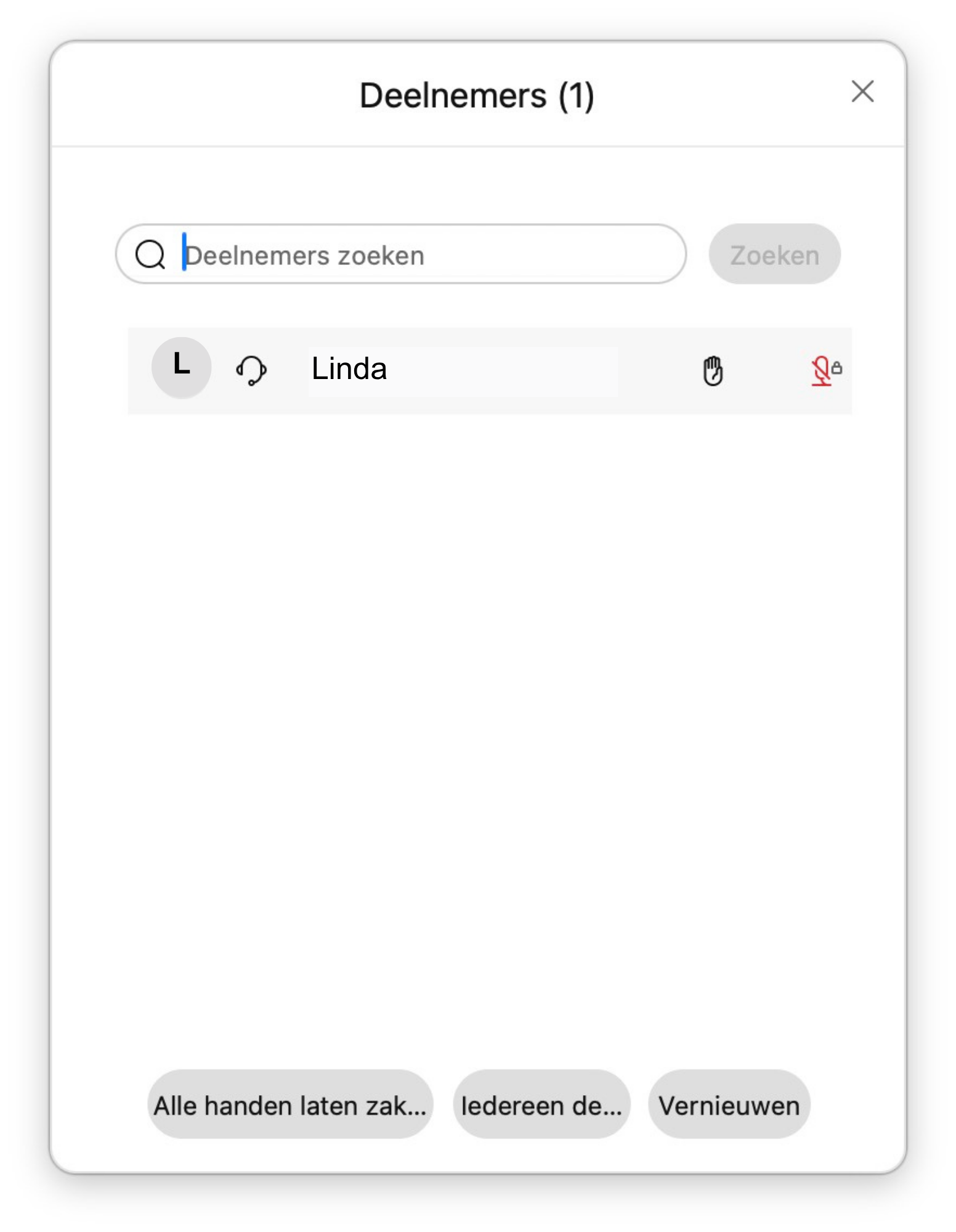 Screenshot van deelnemersvenster tijdens een Webex webinar